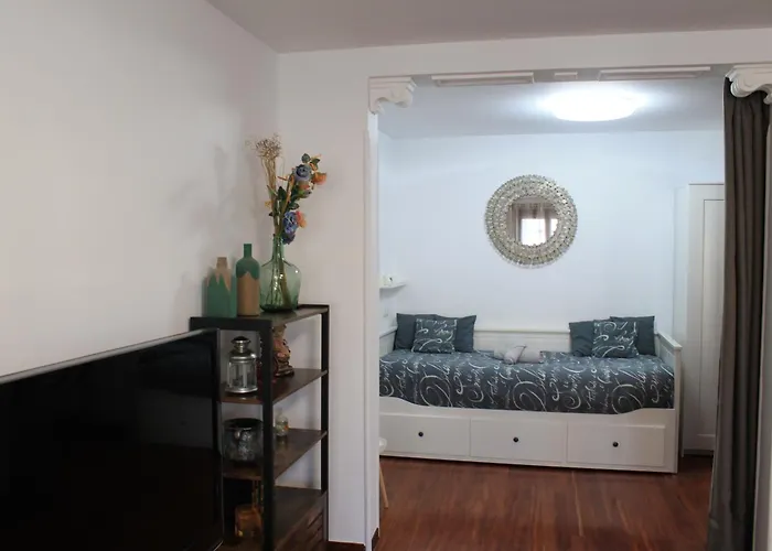 Contempla Centro Historico. Frente Al Arco * Burgo